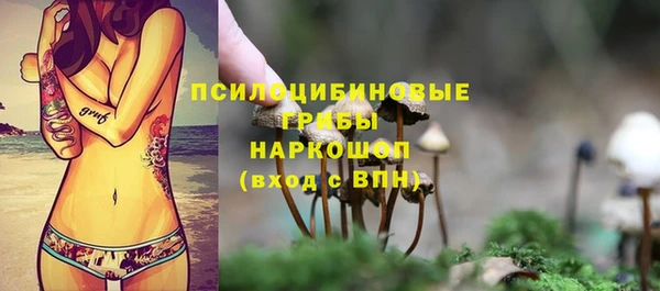 бутират Верея
