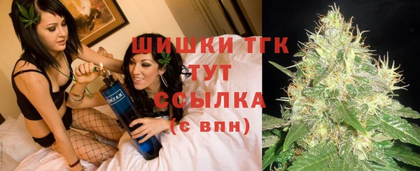 стафф Верхний Тагил