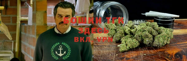 стафф Верхний Тагил