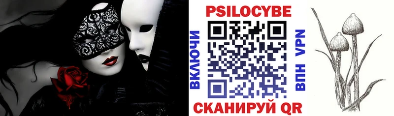 Купить закладки  Трубчевск  Псилоцибиновые грибы Cubensis 
